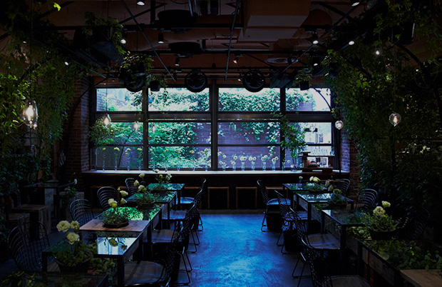 TEA HOUSE
