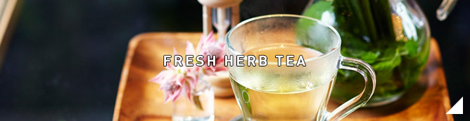 Fresh Herb Tea