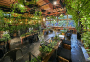 210708on_TEAHOUSEaoyama040